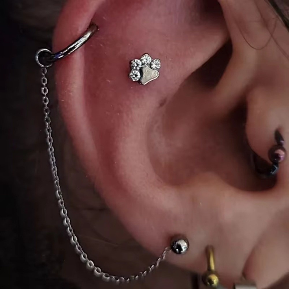 سلسلة أنف من التيتانيوم ثلاثية - مراجعة Body Jewelry Nose وسعره
