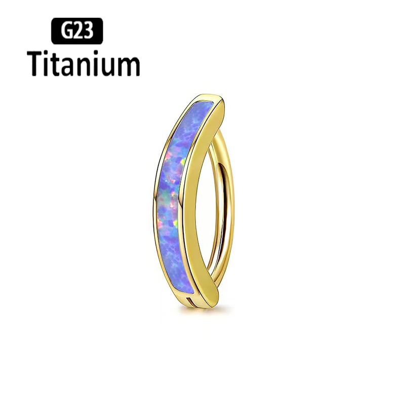 1 قطعة 14 جرام زرع الصف G23 ال - مراجعة Body Jewelry Implants وسعره