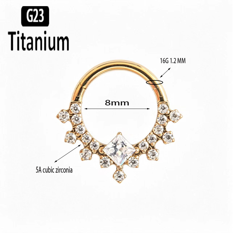 حلقات أنف وثقب الأنف من التيتا - مراجعة Body Jewelry Quality وسعره