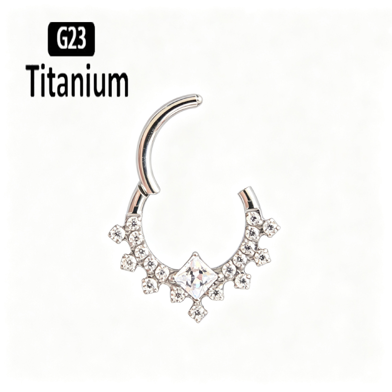 حلقات أنف وثقب الأنف من التيتا - مراجعة Body Jewelry Quality وسعره